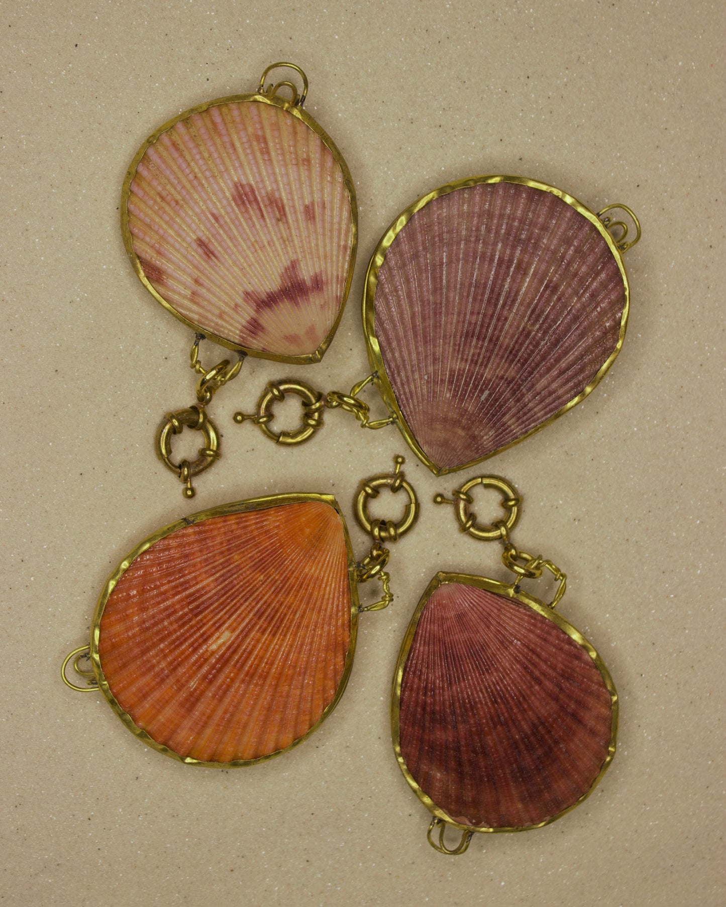 Scallop Seashell Case Charm