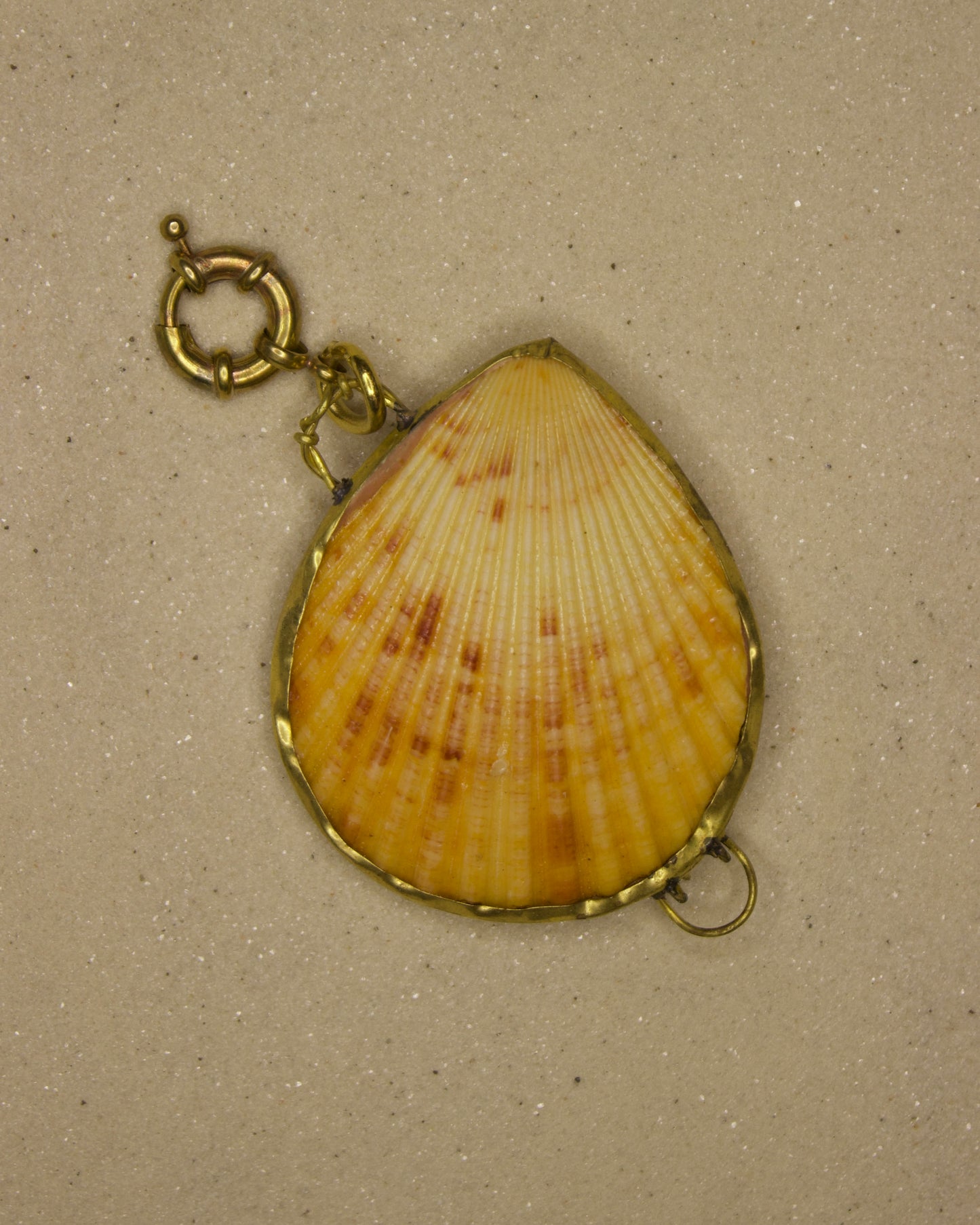 Scallop Seashell Case Charm